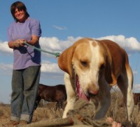 /album/trackingdogs/jimmy-and-julie-finding-toes-250x227-jpg/